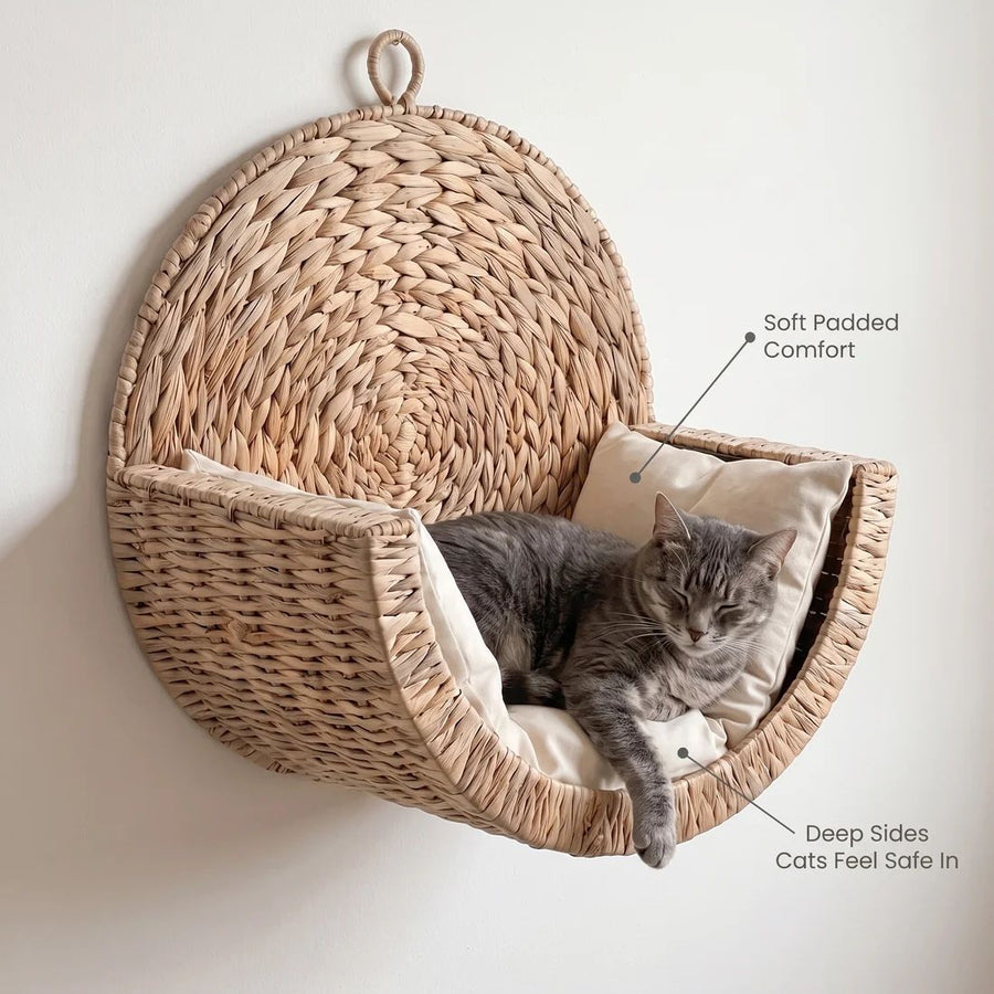 Cozy cat retreat