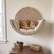 Orange cat relaxing in the CozyMeow wall bed