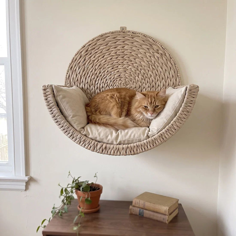 Cat relaxing in CozyMeow